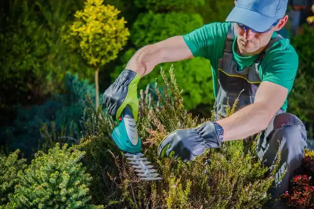 landscaping services Napanoch